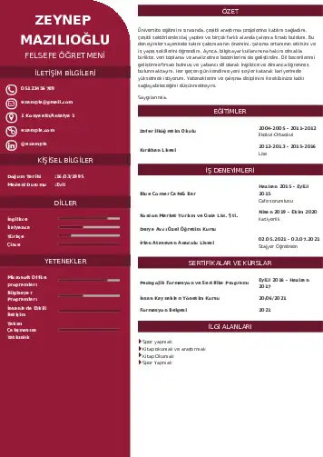 Felsefe Öğretmeni CV Örnekleri cv indir
